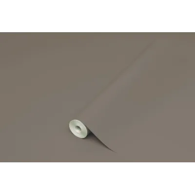 PLASTICA ADESIVA HOMEDECO 288.3236 15 M TORT/LUC