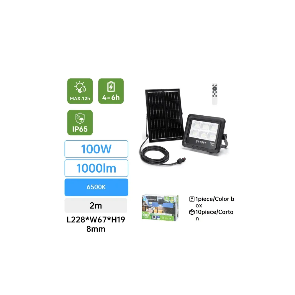 FLOODLIGHT LED SOLARE 100W 1000LM 6500K IP65