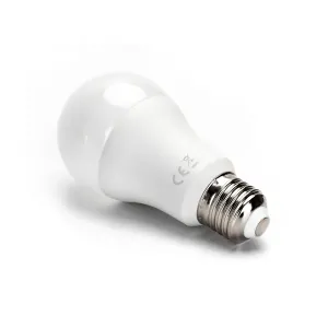 LED A67 E27 20W 3000k