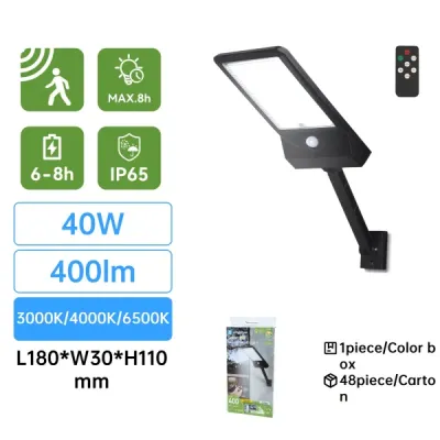 Lampione LED solare con telecomando