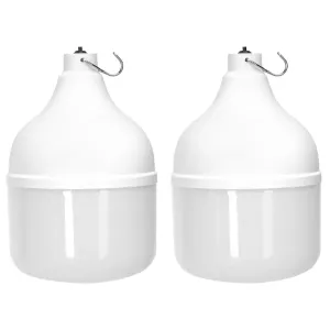 Lampadina solare con accumulatore fotovoltaico 70W X 2 6500K