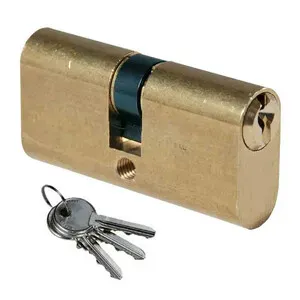 ISEO F300 CILINDRO OVALE 27-27 OTTONATO C/3CH (10,0 PZ)