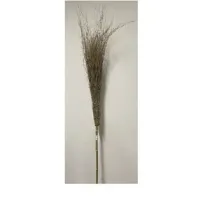 C SCOPA IN BAMBOO 210 CM 18 RAMI IMPORT (20,0 PZ)