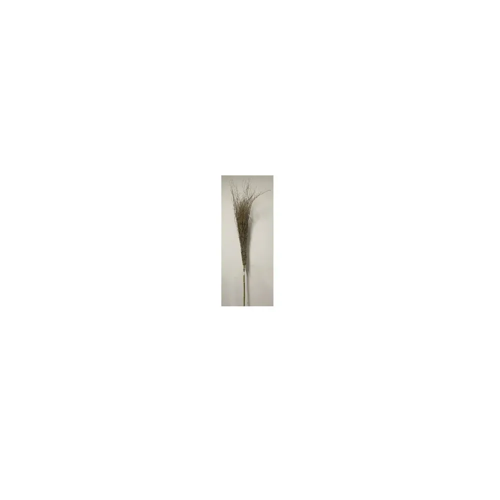 C SCOPA IN BAMBOO 210 CM 18 RAMI IMPORT (20,0 PZ) C SCOPA IN BAMBOO 210 CM 18 RAMI IMPORT (20,0 PZ)