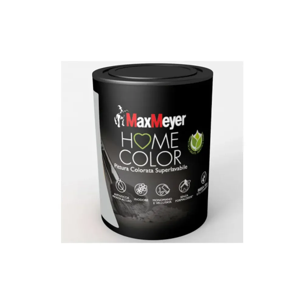 HOME COLOR SUPERLAVABILE LT.0,750 SILVER