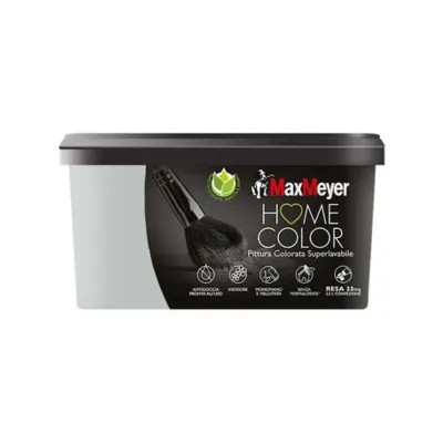 HOME COLOR SUPERLAVABILE LT.2,5 SILVER