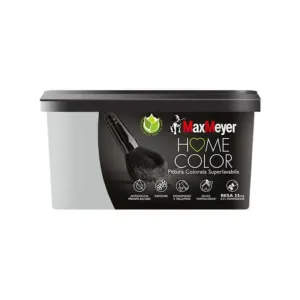 HOME COLOR SUPERLAVABILE LT.2,5 SILVER