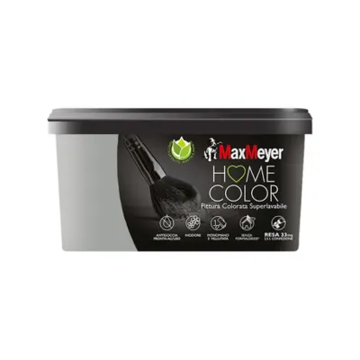 HOME COLOR SUPERLAVABILE LT.2,5 MINERAL