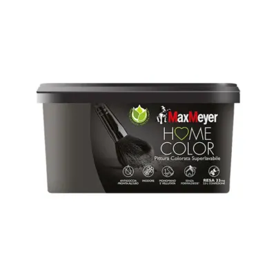 HOME COLOR SUPERLAVABILE LT.2,5 CAFFE