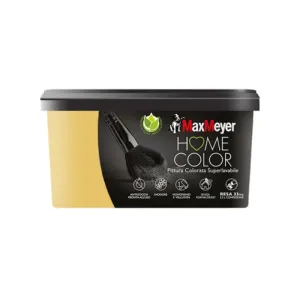 HOME COLOR SUPERLAVABILE LT.2,5 SENAPE