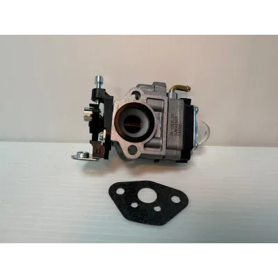 R KIT CARBURATORE C/GUARNIZIONE P/CUT 52CC-B