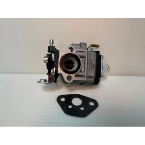 R KIT CARBURATORE C/GUARNIZIONE P/CUT 52CC-B