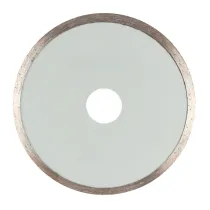 DISCO DIAMANTATO Ø 100 mm - foro 22,2 mm