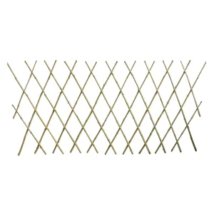 TRALICCIO IN CANNA DI BAMBU' PER RAMPICANTI mt 2 x 1