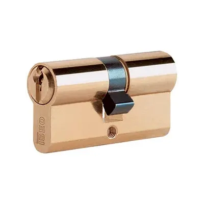 ISEO F5 8209 CILINDRO SAGOMATO 30-65 OTTONATO C/3CH