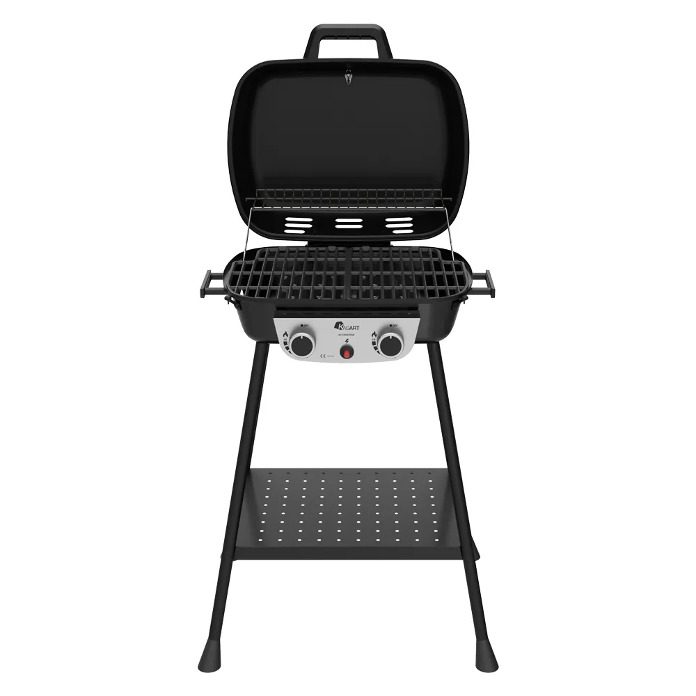 BARBECUE A GAS 'FUOKISSIMO' kW 2