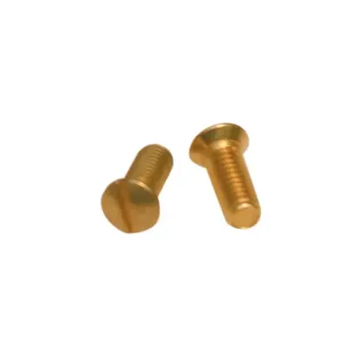 VITI OTTONE P/COPRINTERRUTTORE CF 10 PZ