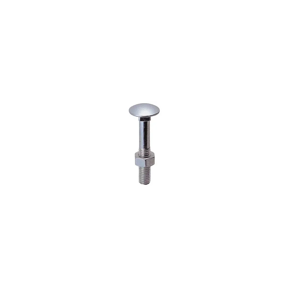 BULLONE C/DADO TTDQ 10 X160MM ZINCATO (50,0 PZ)