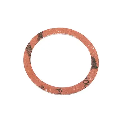 BL GUARNIZIONE P/RESISTENZA FILETTATA SCALDAB 4PZ (5,0 BL)