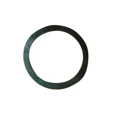 BL GUARNIZIONE RESISTENZA FLANGIATA SCALDABAG 2 PZ (5,0 BL)