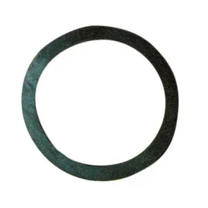 BL GUARNIZIONE RESISTENZA FLANGIATA SCALDABAG 2 PZ (5,0 BL)