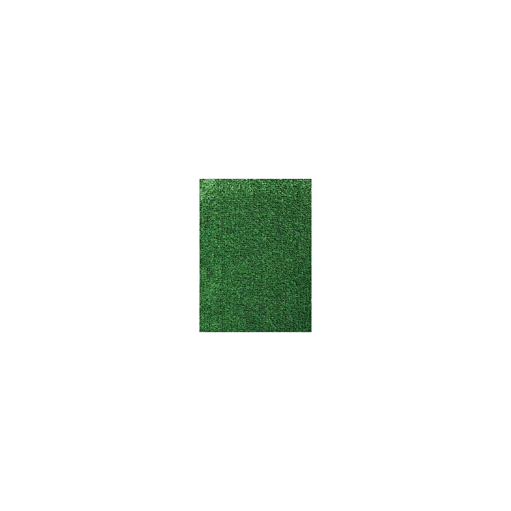 C TAPPETO ERBOSO SINTETICO SP 10MM H1X25M MOQUETTE (25,0 MQ)