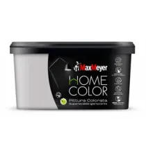 HOME COLOR SUPERLAVABILE  2,5L SILVER