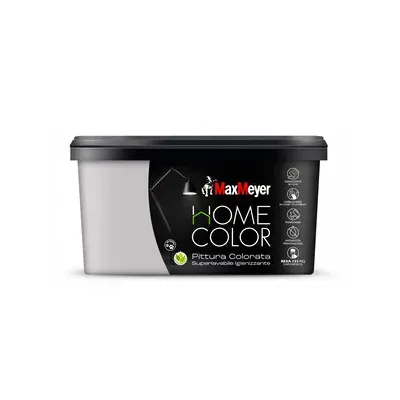 HOME COLOR SUPERLAVABILE  2,5L SILVER