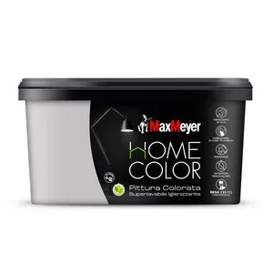 HOME COLOR SUPERLAVABILE  2,5L SILVER