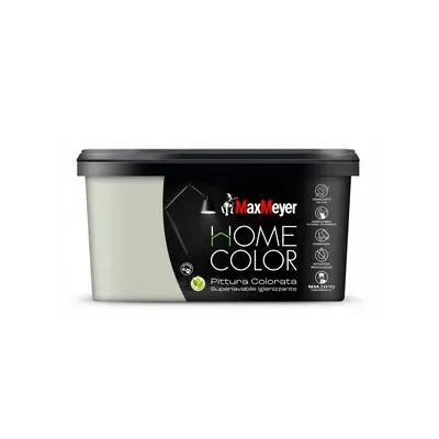 HOME COLOR SUPERLAVABILE  2,5L SALVIA