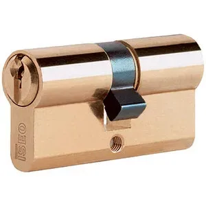 ISEO F5 8209 CILINDRO SAGOMATO 30-55 OTTONATO C/3CH