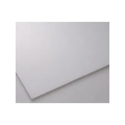 C VETRO SINTETICO OPACO FROSTEN H  50 CM  25CMX2MM (10,0 PZ)