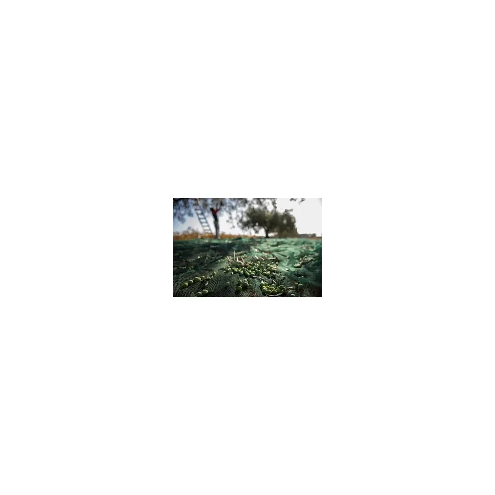 C RETE P/OLIVE ANTISPINA 32G 6 X  6M CALABRIA