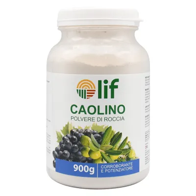 CAOLINO POLVERE DI ROCCIA Gr.900