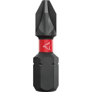 INSERTI PER VITI 'E-PRO TORSION IMPACT' PZ 2 x 25 mm - cf.2 pz