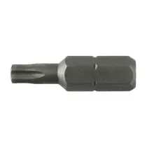INSERTI PER VITI IMPRONTA TORX TX 20 x 25 mm - cf.10 pz