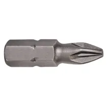 INSERTI PER VITI IMPRONTA POZIDRIV PZ 1 x 100 mm - cf.2 pz