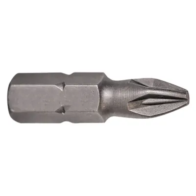 INSERTI PER VITI IMPRONTA POZIDRIV PZ 1 x 100 mm - cf.2 pz