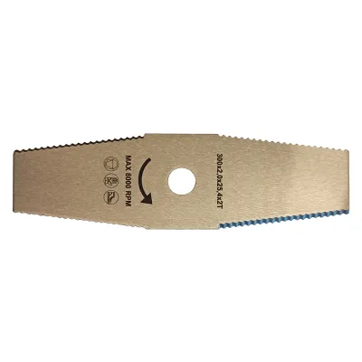 LAMA A 2 DENTI mm 300 x 2,0 x 25,4 x 2 T