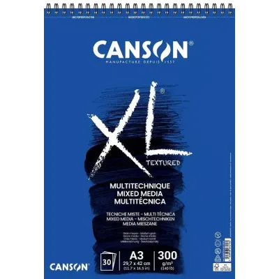 AL CANXL MIX MEDIA TEXTURED 30F A3 300G