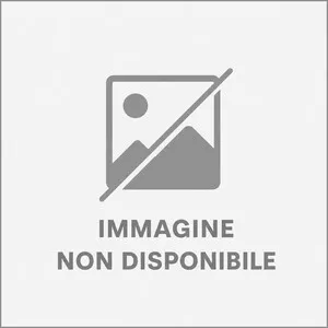 C CHIODI TESTA PIANA BL.100G 8X20 (6,0 SC)