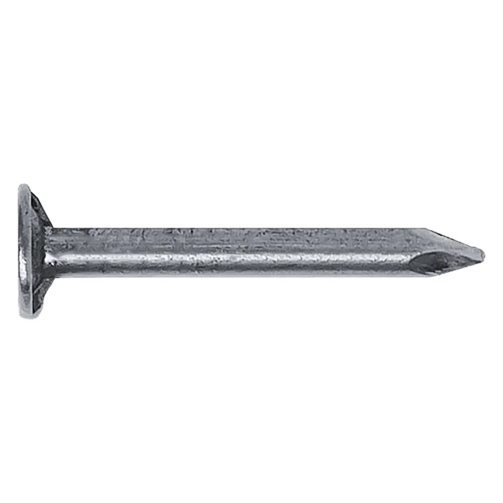 CHIODI TESTA PIANA LARGA TPL mm 15 x 32 - pz 36 (6 BL)