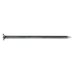 CHIODI TESTA PIANA TP mm 13 x 30 - pz 36 (6 BL)