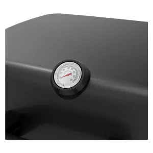 MISURATORE TEMPERATURA per barbecue 'KASART'