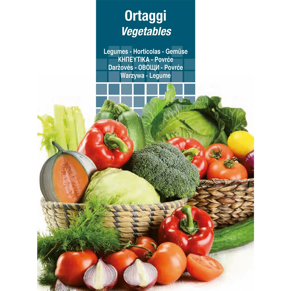 SEMI PER ORTAGGI E VEGETALI cicoria rossa di verona a palla (20 pz)