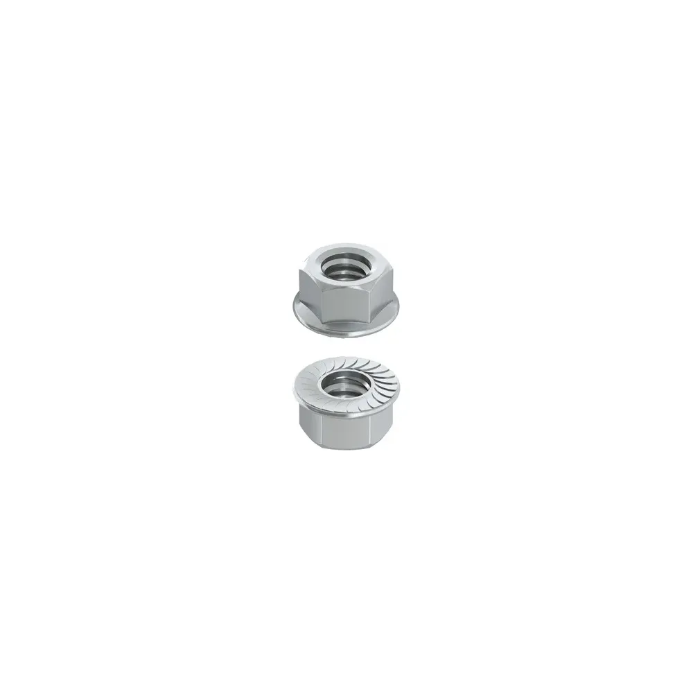 DADO ESAGONALE FLANGIATO DENTELLATO M 10 (200,0 PZ)