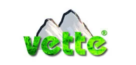 VETTE