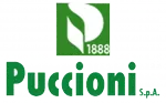 PUCCIONI