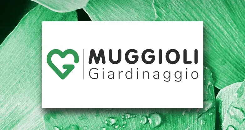 MUGGIOLI