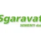SGARAVATTI